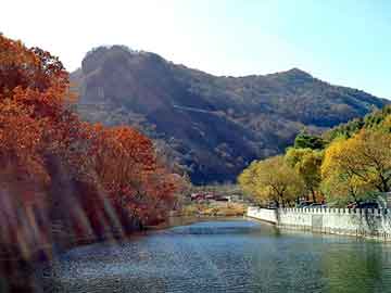 澳门天天免费精准大全，康师傅地沟油事件